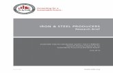 IRON & STEEL PRODUCERS