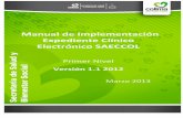 Manual de Implementación Expediente Clínico Electrónico SAECCOL
