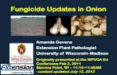 Fungicide Updates in Onion