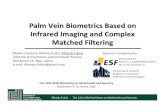 Palm Vein Biometrics Based on Infrared Imaging and Complex ...