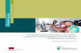 Developmental Evaluation in Practice: Lessons from Evaluating a Market-Based Employment Initiative