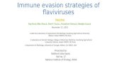 Immune evasion strategies of flaviviruses