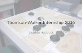 Thomson walker internship 2016