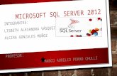 MICROSOFT SQL SERVER 2012