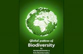 Global pattern of biodiversity