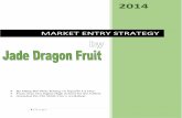 Duy Le Nguyen- Market Entry Strategy 2014 (1)