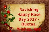 Ravishing Happy Rose Day 2017 - Quotes, Wishes, And Images