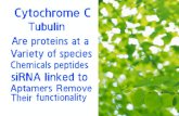 Biological weapon Nitrogen fixing bacteria that preclude tubulin genetics amplify plants as bioweapons vectors