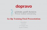 Co-Op Final Presentation - PDF