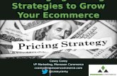 Pricing Strategies for Online Merchants