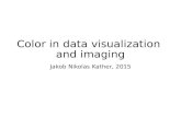 The use of color in medical imaging