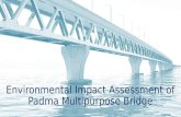 Environmental impact assessment of padma multipurpose bridge
