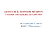 Adenosine and adenosine receptors