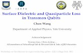 Surface Dielectric and Quasiparticle Loss in Transmon Qubits