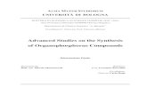 Advanced Studies on the Synthesis of Organophosphorus ...
