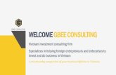 Gbee Consulting - Company profile