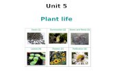 Unit 5.plant life