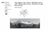 Guide to the willows of Shoshone National Forest