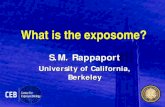 What Is the Exposome?