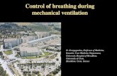 Control of breathing during mechanical ventilation