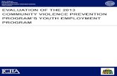 evaluation of the 2013 community violence prevention program's ...