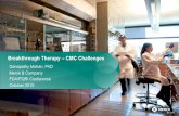 Breakthrough Therapy – CMC Challenges