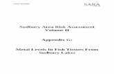 Sudbury Area Risk Assessment Volume II Appendix G: Metal Levels ...