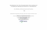 Guidelines for the Sustainable Harvesting of Traditional Medicinal ...