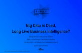 Big Data is Dead, Long Live Business Intelligence?