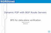 Dynamic P2P with BGP Route Servers-2.pdf