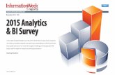 2015 Analytics & BI Survey