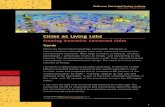 Cities as Living Labs: Creating Innovative, Connected Cities