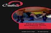 to view and download the FREE Cavallo Barefoot Trim Manual