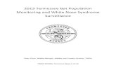 2013 Tennessee Bat Population Monitoring and White Nose ...