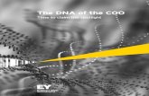 The DNA of the COO