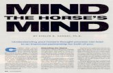 Mind the horse's mind