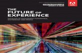 The Future of Experience