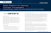 Open Platform for Network Function Virtualization
