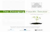 The Emerging Fourth Sector - Executive Summary