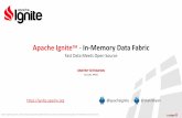 Apache IgniteTM -‐ In-‐Memory Data Fabric