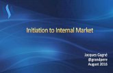 Internal market- PDF