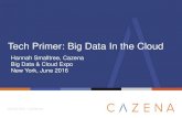 Tech Primer: Big Data In the Cloud