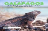 2017 Vice President's Adventure - The Galapagos Islands