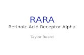 Retinoic Acid Receptor Alpha