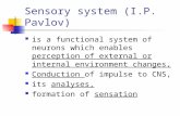 Physiology 7-Physiology-of-sensory-system