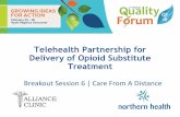 Telehealth Partnership for Delivery of Opioid Substitution Treatment in Prince Rupert