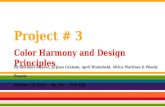 Color Harmony and Design Principles Project