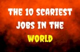 The 10 Scariest Jobs In the World!
