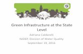 Green Infrastructure at the State Level (New Jersey)