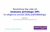 Revisiting the Role of Immune Privilege in Alopecia Areata Pathobiology
